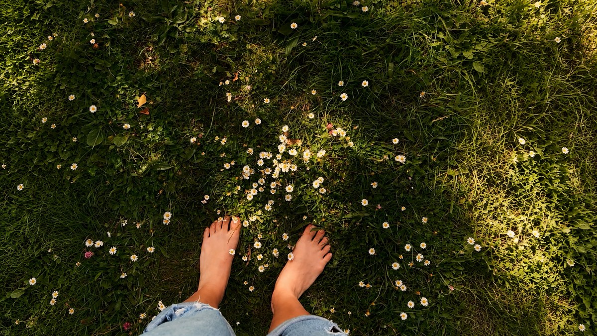 Person resting quietly in grass, representing rest and recovery rather than defeat