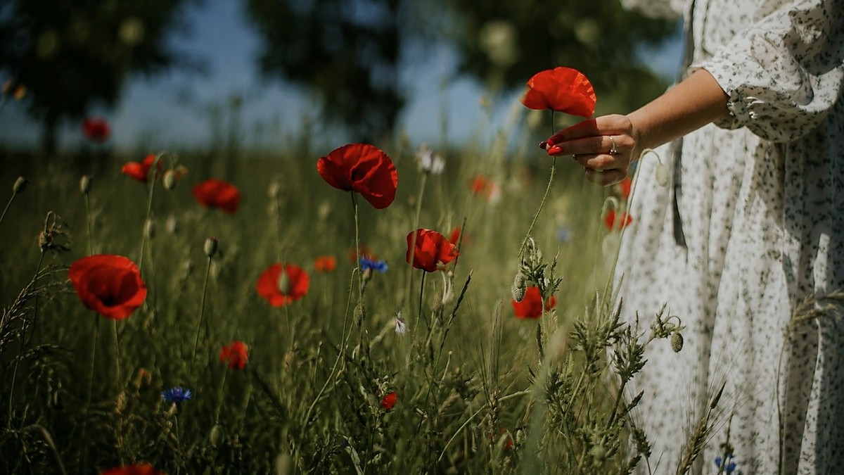 Woman touching red poppies in bloom, representing growth that arrives on its own timeline