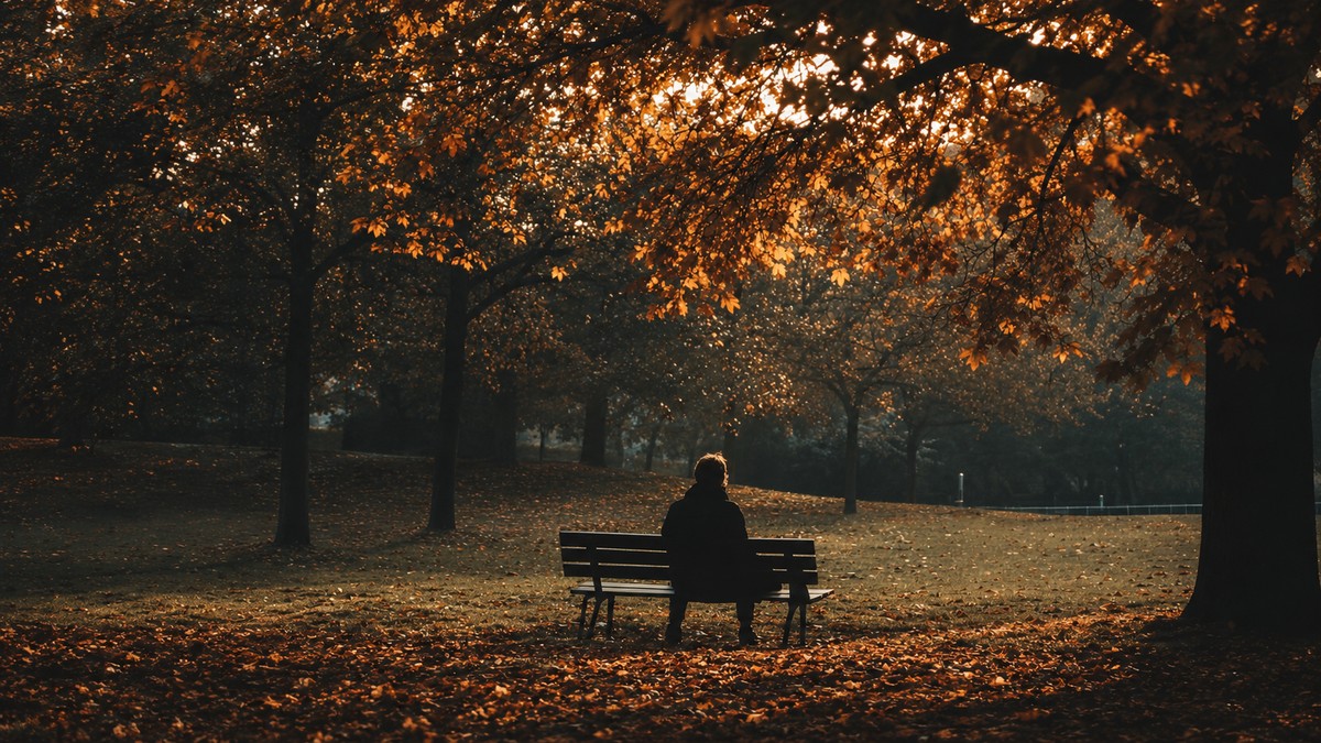 Park bench in autumn light, representing reflection on a long and winding personal journey